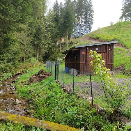Le Refuge Perche Du Saut De La Bourrique Spa, Terrain Cloture ג'רארדמר מראה חיצוני תמונה